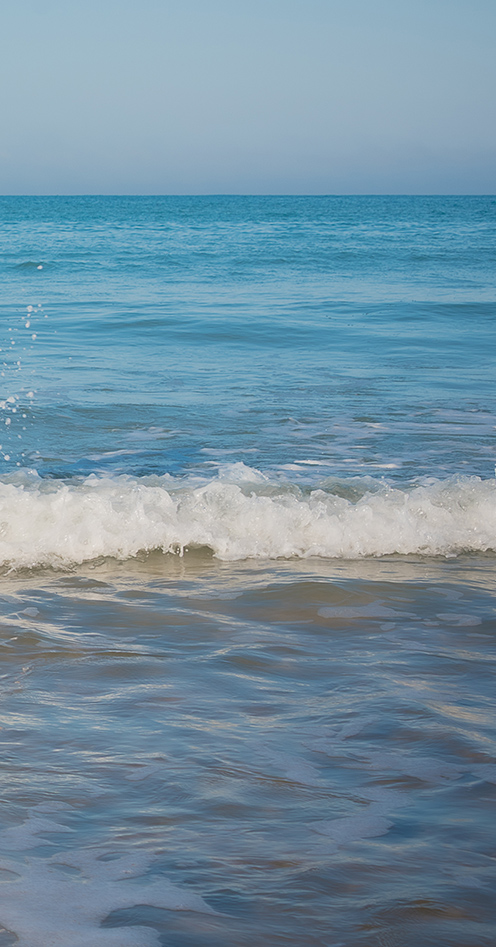 MARIES