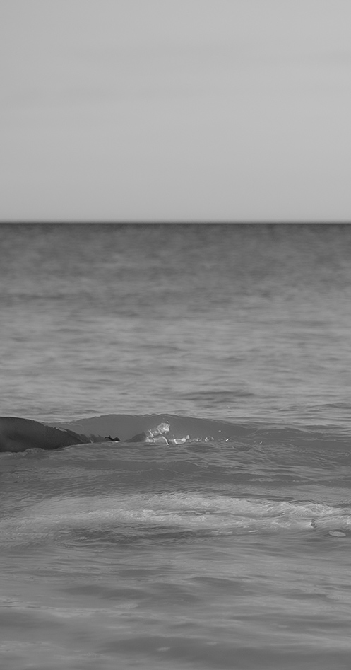 PLANCHE