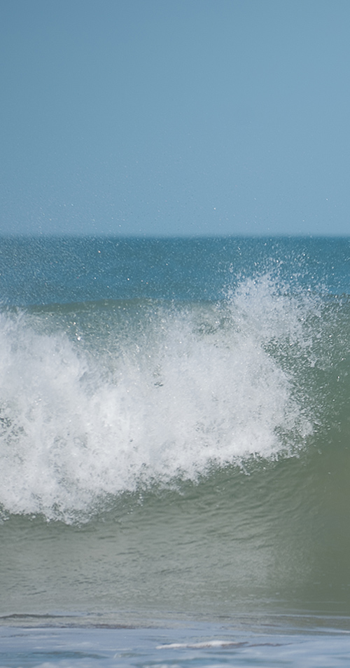 SURF