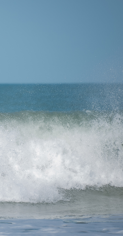 SURF